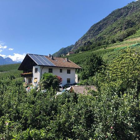 Pixnerhof - Urlaub Am Biohof Διαμέρισμα Castelbello Εξωτερικό φωτογραφία