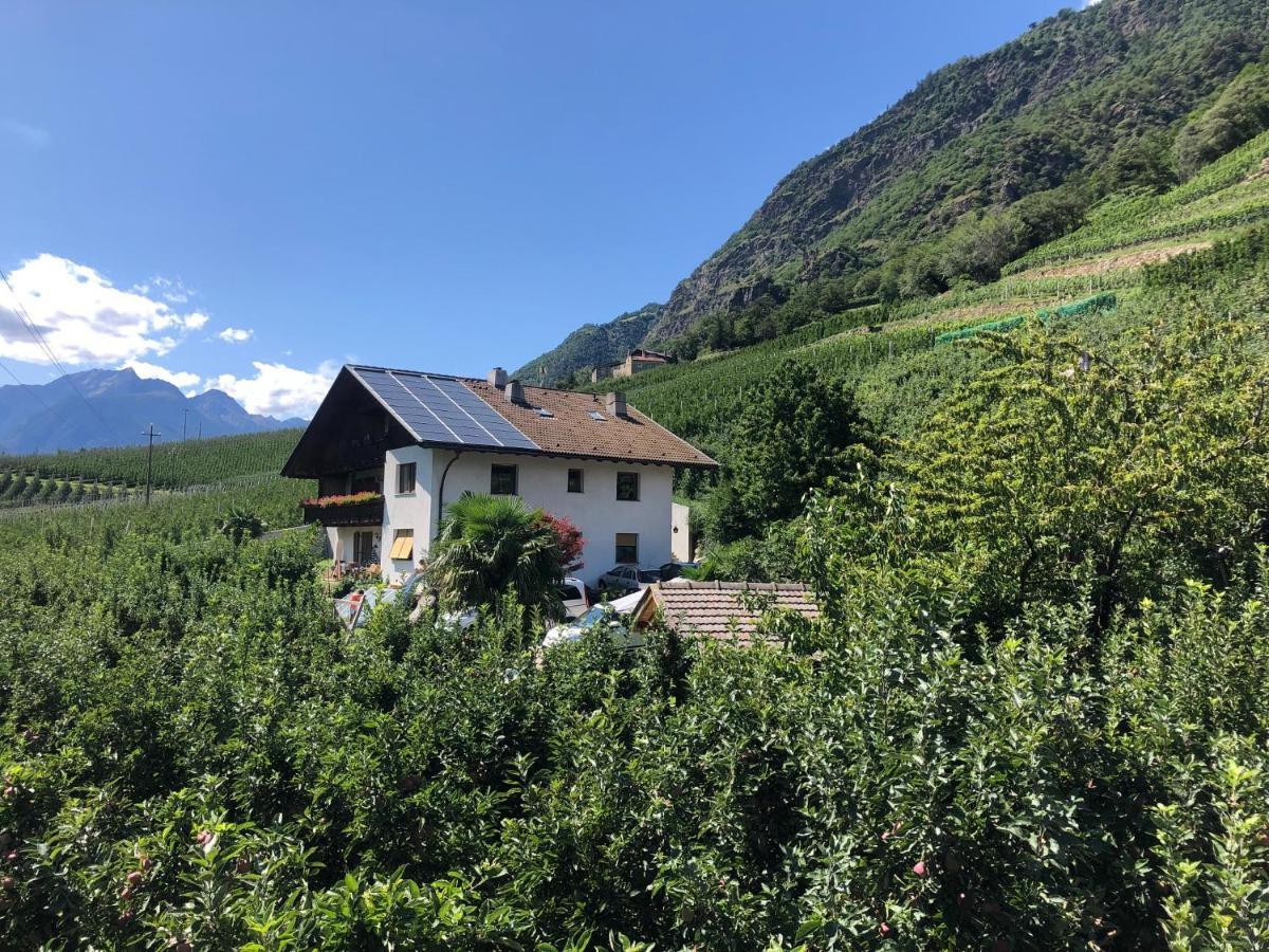 Pixnerhof - Urlaub Am Biohof Διαμέρισμα Castelbello Εξωτερικό φωτογραφία