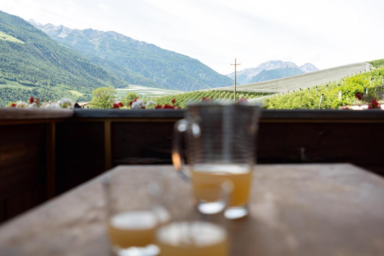 Pixnerhof - Urlaub Am Biohof Διαμέρισμα Castelbello Εξωτερικό φωτογραφία