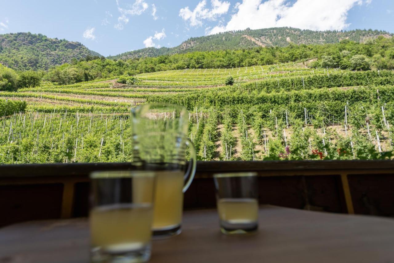Pixnerhof - Urlaub Am Biohof Διαμέρισμα Castelbello Εξωτερικό φωτογραφία