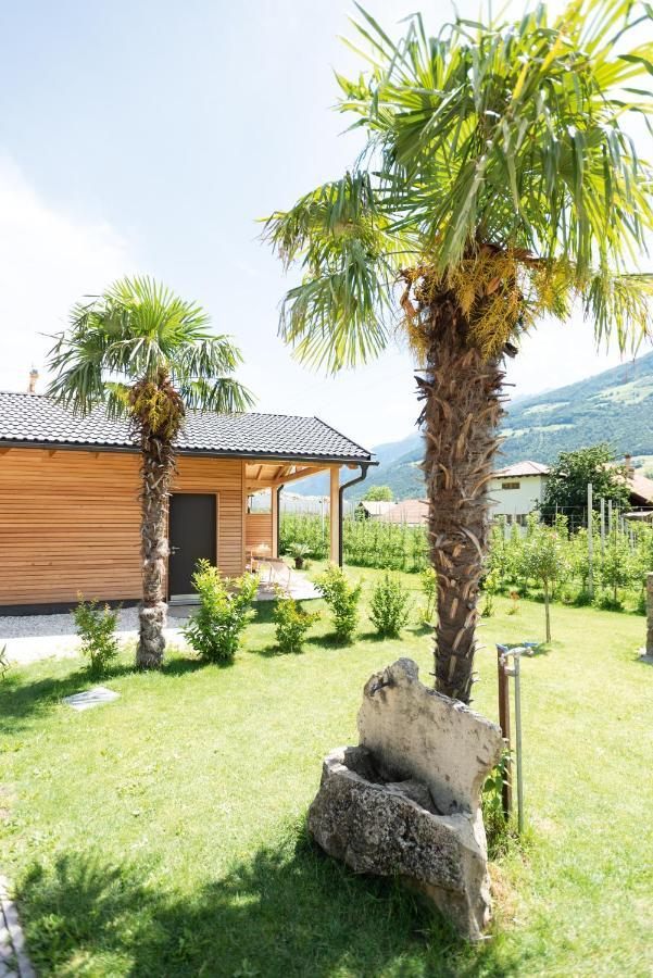 Pixnerhof - Urlaub Am Biohof Διαμέρισμα Castelbello Εξωτερικό φωτογραφία